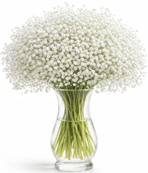 זר גיבסנית - לבחירת צבע וגודל. החל מ-149 ש"ח