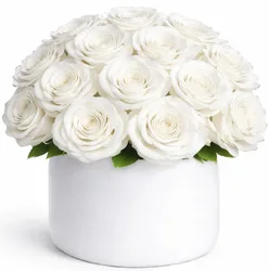 ורדים בכלי קרמיקה - לבחירת צבע וגודל. החל מ-299 ש"ח