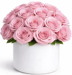 ורדים בכלי קרמיקה - לבחירת צבע וגודל. החל מ-299 ש"ח