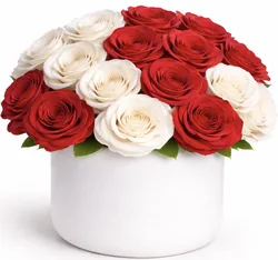 ורדים בכלי קרמיקה - לבחירת צבע וגודל. החל מ-299 ש"ח