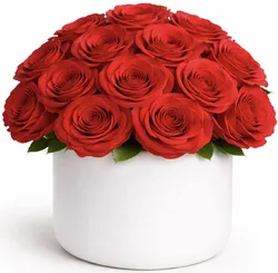 ורדים בכלי קרמיקה - לבחירת צבע וגודל. החל מ-299 ש"ח