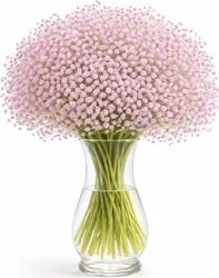 זר גיבסנית - לבחירת צבע וגודל. החל מ-149 ש"ח