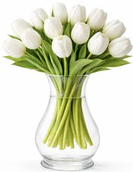 זר טוליפים - לבחירת צבע וגודל. החל מ-189 ש"ח.