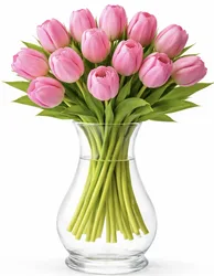 זר טוליפים - לבחירת צבע וגודל. החל מ-189 ש"ח.