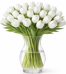 זר 51 טוליפים - לבחירת צבע