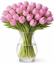 זר 51 טוליפים - לבחירת צבע