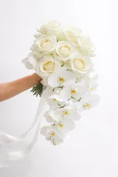 זר כלה - שובל מלכותי