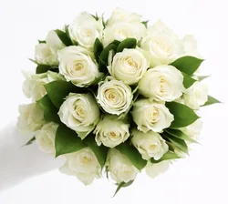 זר כלה - ורדים לבנים.