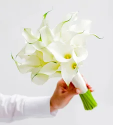 זר כלה קאלות לבנות.