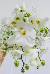 זר כלה - סחלבים וגיבסנית לבנה