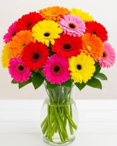 זר מיקס גרברות. החל מ-189 ש"ח