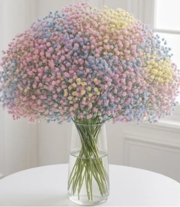 זר גיבסנית צבעוני החל מ-189 ש"ח.