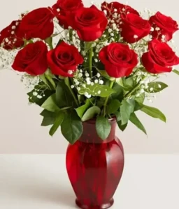 זר 11 ורדים אדומים וגיבסנית לבנה.