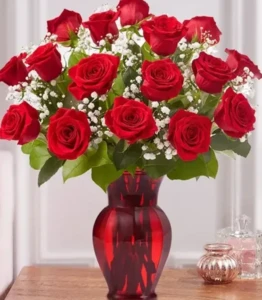 זר 15 ורדים אדומים וגיבסנית לבנה.