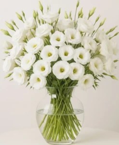 זר חגיגי בלבן. ליזיאנטוס לבן. החל מ-199 ש"ח