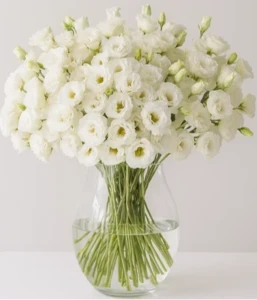 זר ליזיאנטוס מרשים. 35 ענפים(~200 פרחים)