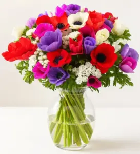 זר כלניות. החל מ-159 ש"ח