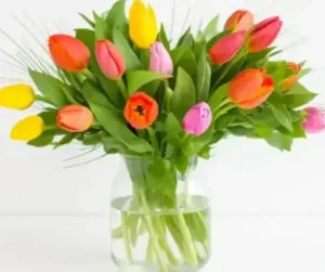 זר טוליפים. החל מ-199 ש"ח