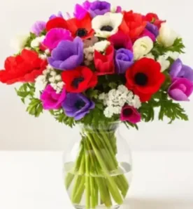 זר כלניות וירק. החל מ-159 ש"ח.