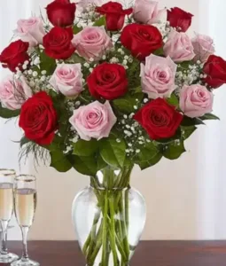 זר ורדים אדומים וורודים. החל מ-239 ש"ח.