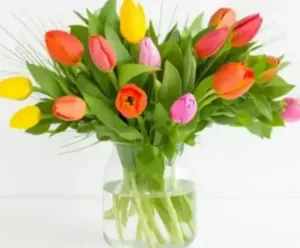 זר טוליפים. החל מ-189 ש"ח