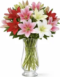 זר ליליות. החל מ-199 ש"ח.