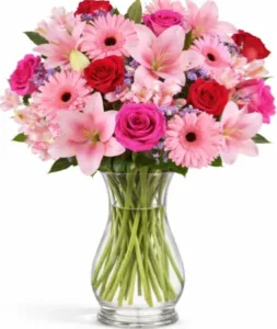 זר תל אביב. החל מ-219 ש"ח.