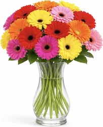 זר מיקס גרברות. החל מ-149 ש"ח