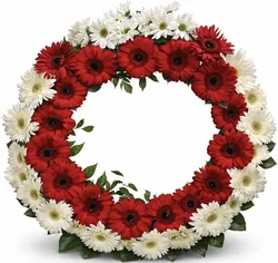 גלגל אבל. החל מ-199 ש"ח.