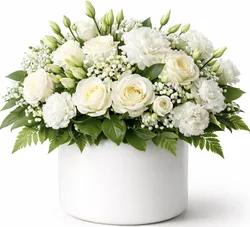 סידור שלמות לבנה. החל מ-219 ש"ח