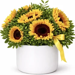 סידור חמניות בכלי קרמיקה. החל מ-199 ש"ח