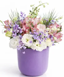 סידור קסם לילך. החל מ-219 ש"ח