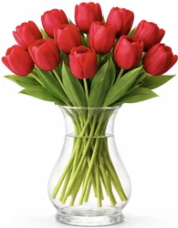 זר טוליפים - לבחירת צבע וגודל. החל מ-189 ש"ח.