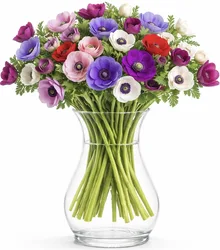 זר כלניות. החל מ-149 ש"ח