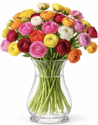 זר נוריות. החל מ-209 ש"ח