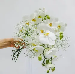 זר כלה - סחלבים וגיבסנית לבנה