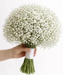 זר כלה - גיבסנית לבנה.